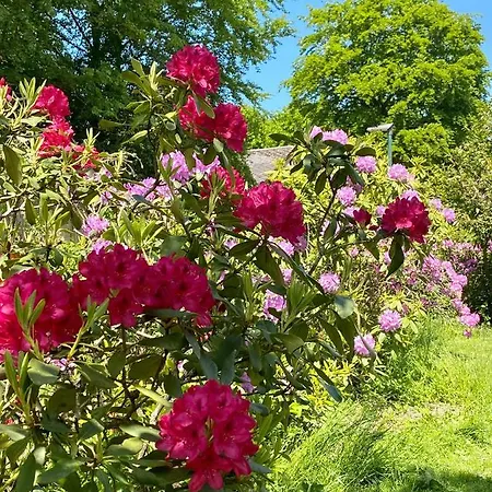 Uns Landhus 43 - 5 Personen Appartement Tating
